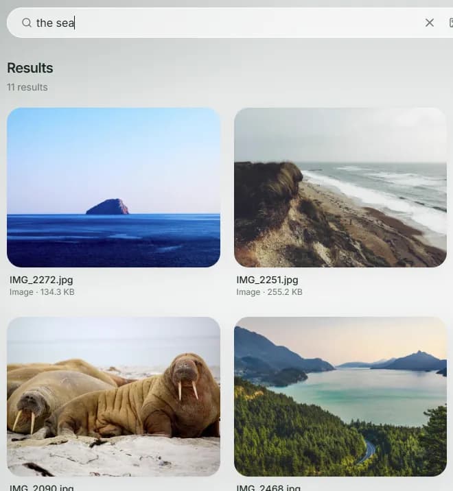 Recallr home screen with a search bar and filters for images, videos and documents