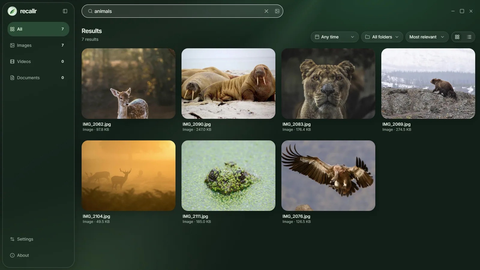 Recallr in dark mode showing results for "animals": deer, walruses, a lioness, a bear and a vulture