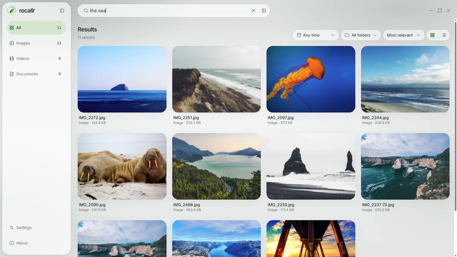 Recallr search for "the sea" showing photos of coastlines, cliffs, a jellyfish and walruses